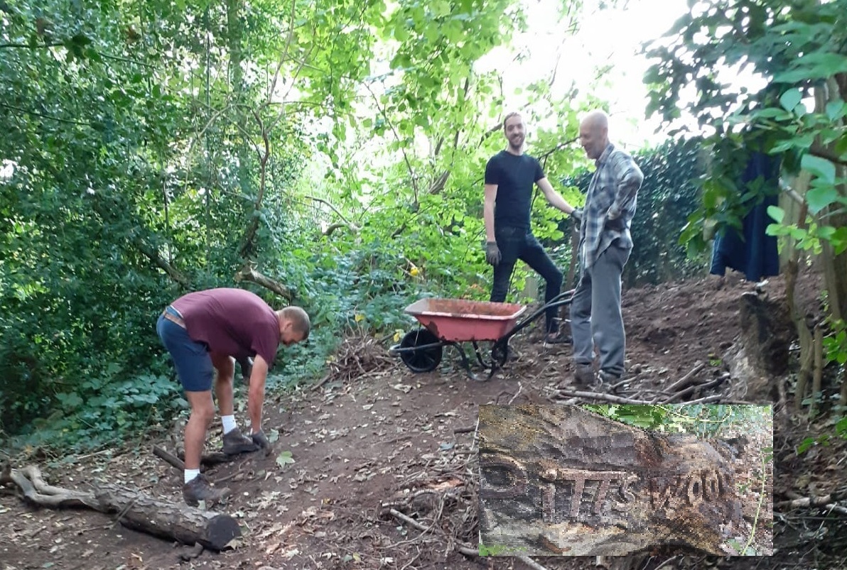 Men working in an ancient woodland