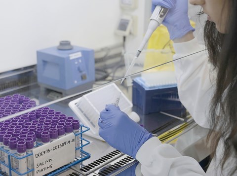 Looking over the left shoulder of a scientist, in a lab coat and blue rubber gloves. She has a syringe device and is taking a sample from a test tube. In front her the desk is full of test tubes in a rack.